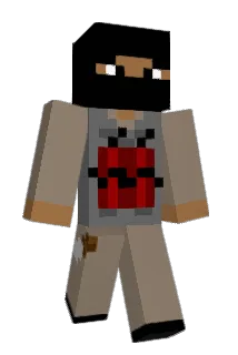 QtLink Minecraft avatar full body