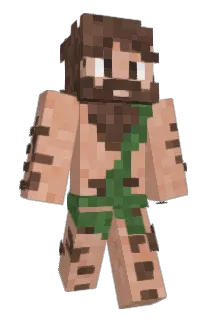 Quadra13 Minecraft avatar full body