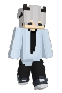 QualityCTRL Minecraft avatar full body