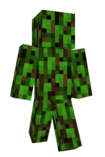 Qualot Minecraft avatar full body