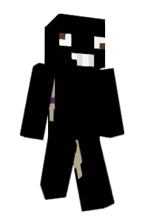 QuanKI Minecraft avatar full body