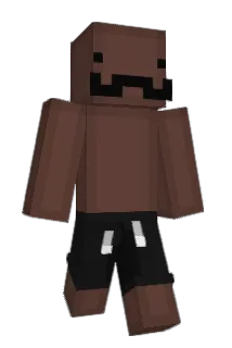 QuandaileDingle Minecraft avatar full body