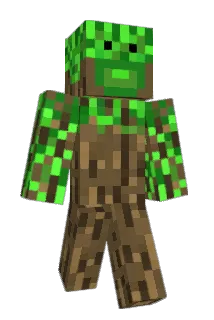 Quarkspeise Minecraft avatar full body