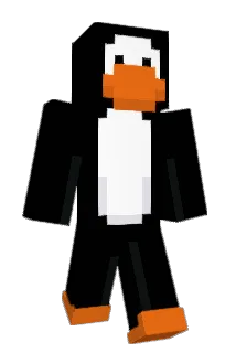 Quatri Minecraft avatar full body