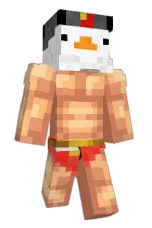 Quicklly Minecraft avatar full body