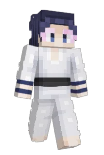 Quin_Pog Minecraft avatar full body
