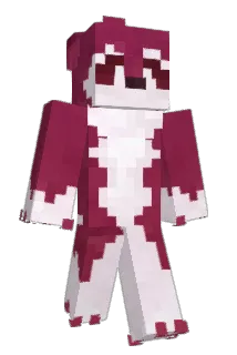 Quinro Minecraft avatar full body