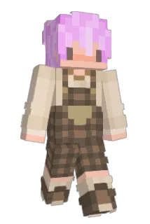 Quixicles Minecraft avatar full body