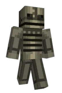 Qunck Minecraft avatar full body