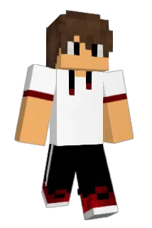 Qwinzz Minecraft avatar full body