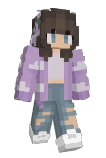 R0054_ Minecraft avatar full body