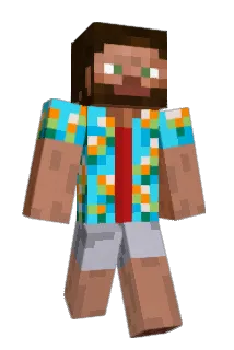 R00_D Minecraft avatar full body