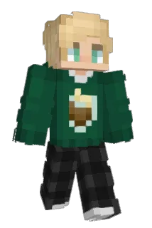 R00tB33rMan Minecraft avatar full body