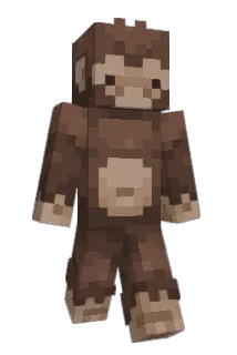R0k1 Minecraft avatar full body
