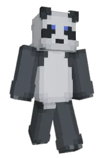 R19191R Minecraft avatar full body