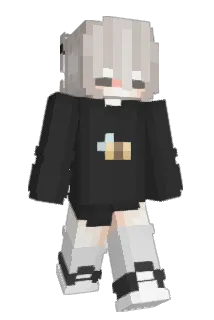 R1INQ Minecraft avatar full body