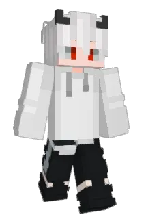 R1er Minecraft avatar full body