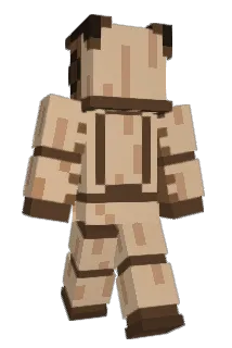 Minecraft-Avatar von R1teris: ganzer Körper
