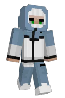R260 Minecraft avatar full body