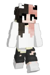 R2Day2 Minecraft avatar full body