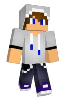 R2dzwo Minecraft avatar full body