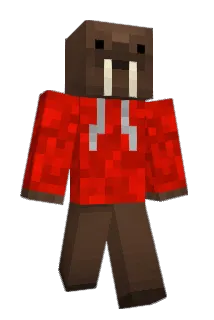R3TR0J Minecraft avatar full body