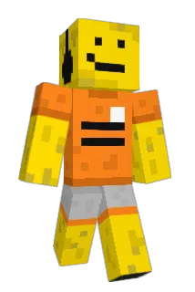 R403 Minecraft avatar full body
