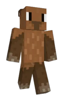 R4N1 Minecraft avatar full body