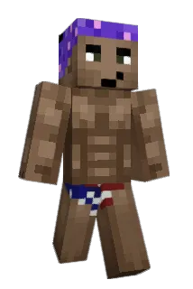 R4NEE Minecraft avatar full body