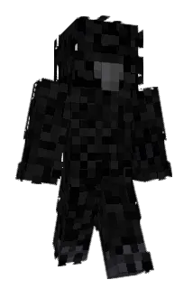 R4SEC Minecraft avatar full body