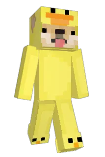 R4dziu Minecraft avatar full body