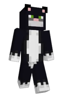 R4nd0mHum4n Minecraft avatar full body