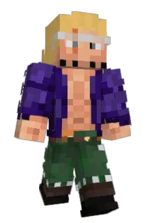 R4yl1 Minecraft avatar full body