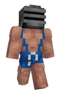 RADONAR Minecraft avatar full body