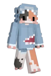 RAIN759467 Minecraft avatar full body