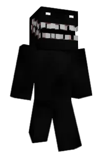 RAP1423 Minecraft avatar full body