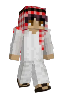 RBNJ101 Minecraft avatar full body