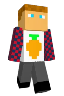 RBarsh8 Minecraft avatar full body