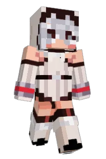 RBooch6 Minecraft avatar full body