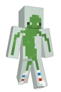 RDaisyD17 Minecraft avatar full body