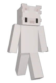 REI5N Minecraft avatar full body