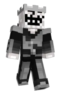 REIDELUS12 Minecraft avatar full body