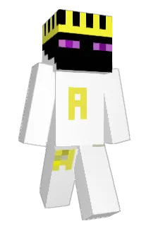 RELEX_00 Minecraft avatar full body