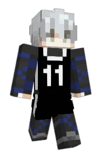 REMM8 Minecraft avatar full body