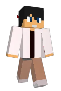 REO0513 Minecraft avatar full body
