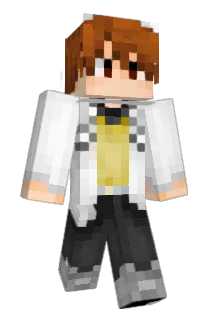 RE_wwww Minecraft avatar full body