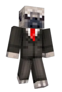 RF_06 Minecraft avatar full body