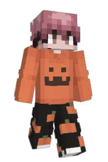 RH8_ Minecraft avatar full body