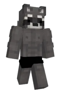 RICEONTOP Minecraft avatar full body