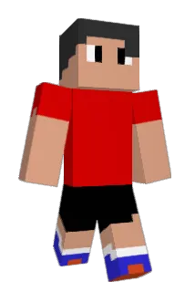 RIKARINGO Minecraft avatar full body